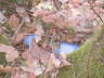 Geocaching 8